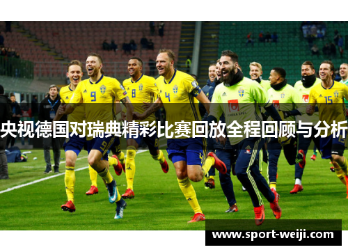 央视德国对瑞典精彩比赛回放全程回顾与分析